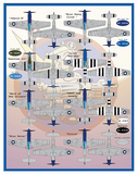 Furball 1/48 decals for P-51B/D Mustangs Meyer's Maulers Part II - 48-095