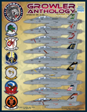 Furball 1/48 decals EA-18G Growler Anthology PT V - FUR48092